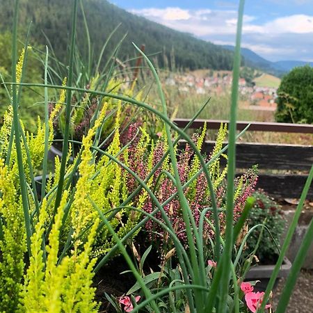 Appartement Mit Herrlicher Aussicht Uebers Murgtal Baiersbronn Bagian luar foto